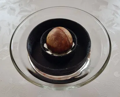 Phao ươm hạt bơ (Avocado Seed Grower) tiện lợi, dễ in 3D - Image 3