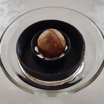 Phao ươm hạt bơ (Avocado Seed Grower) tiện lợi, dễ in 3D