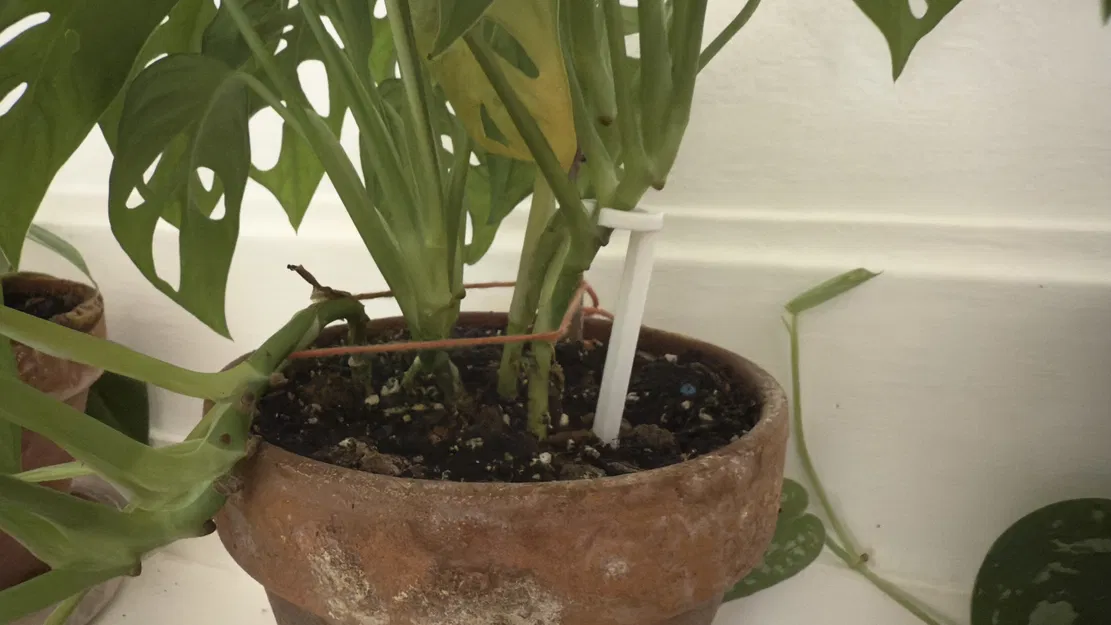 Cọc Đỡ Cây Trồng – 4 Kích Thước (80mm đến 205mm) - Image 2