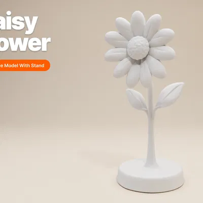 Mô hình hoa cúc Daisy – Thiết kế để tô màu kèm đế đứng