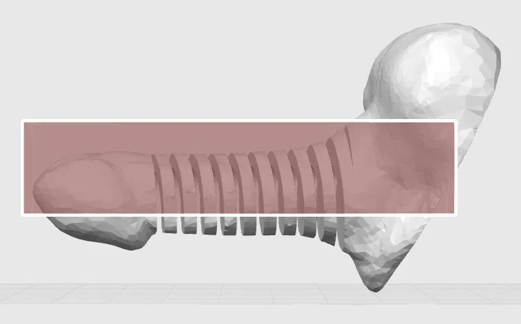 Mô hình Dancing Penis - Đồ chơi in 3D độc đáo - Image 4