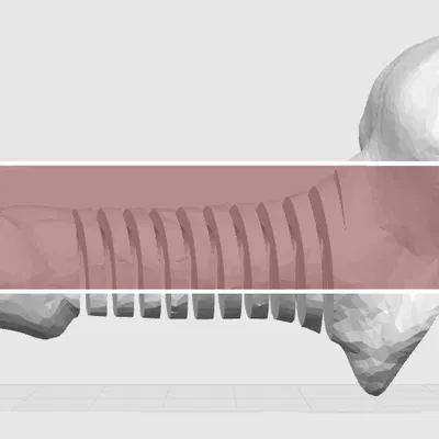 Mô hình Dancing Penis - Đồ chơi in 3D độc đáo