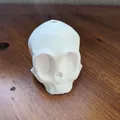 Còi Hú Hình Đầu Lâu Dễ Thương (Cute Skull Screaming Whistle) - Thumbnail 6