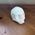 Còi Hú Hình Đầu Lâu Dễ Thương (Cute Skull Screaming Whistle) - Thumbnail 12