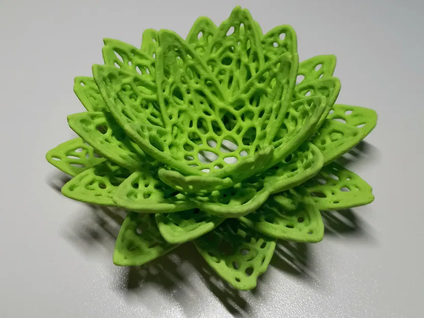 Mô hình hoa sen Voronoi (Lotus Voronoi) - Image 2