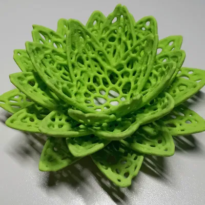 Mô hình hoa sen Voronoi (Lotus Voronoi)