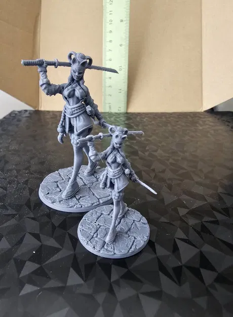 Cài đặt máy Ashleys Kobra S1 - Dùng cho nozzle 0.2mm in mô hình - Image 4