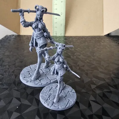 Cài đặt máy Ashleys Kobra S1 - Dùng cho nozzle 0.2mm in mô hình