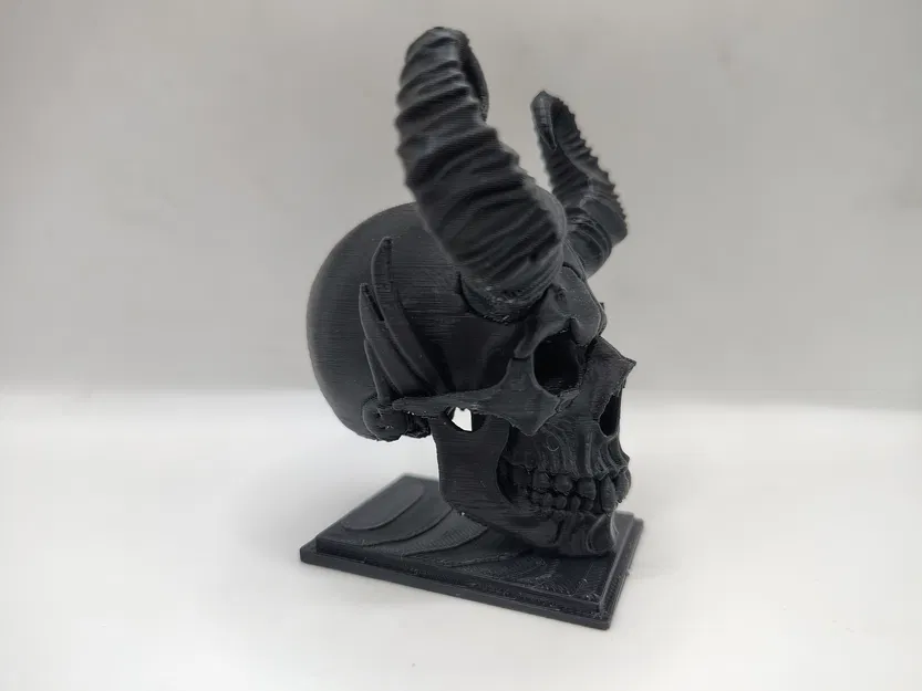 Đầu Lâu Ma Cà Rồng – Món Đồ Trang Trí Đầy Ma Mị - Image 3