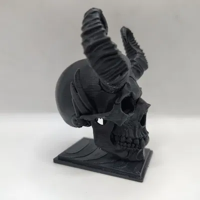 Đầu Lâu Ma Cà Rồng – Món Đồ Trang Trí Đầy Ma Mị