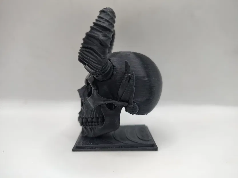 Đầu Lâu Ma Cà Rồng – Món Đồ Trang Trí Đầy Ma Mị - Image 4