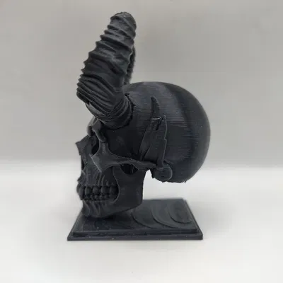 Đầu Lâu Ma Cà Rồng – Món Đồ Trang Trí Đầy Ma Mị