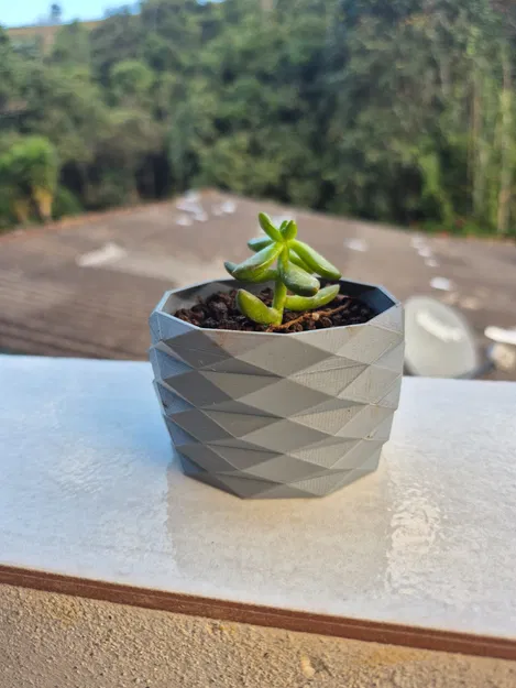 Chậu trồng sen đá, cây cảnh nhỏ (Vaso Suculentas) in 3D - Image 1