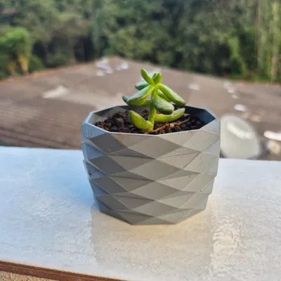 Chậu trồng sen đá, cây cảnh nhỏ (Vaso Suculentas) in 3D