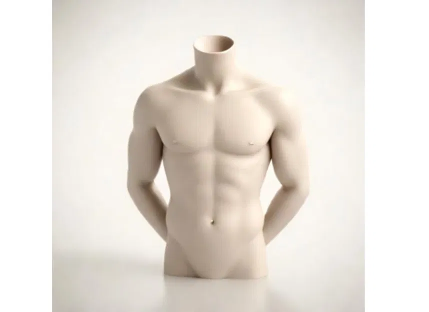 Mô hình tượng bán thân nam giới (Male Torso) - File in 3D nghệ thuật - Image 1
