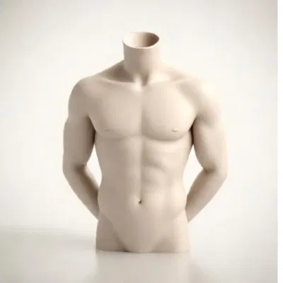 Mô hình tượng bán thân nam giới (Male Torso) - File in 3D nghệ thuật