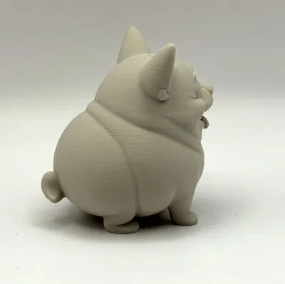 Chonk Chihuahua - Chú cún tròn trịa đáng yêu