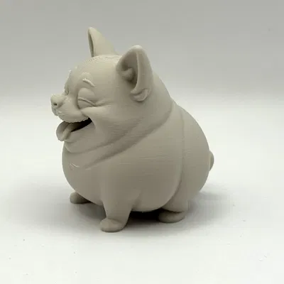 Chonk Chihuahua - Chú cún tròn trịa đáng yêu