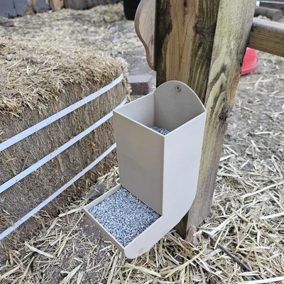 Máng ăn sỏi cho gà (Chicken Grit Feeder)