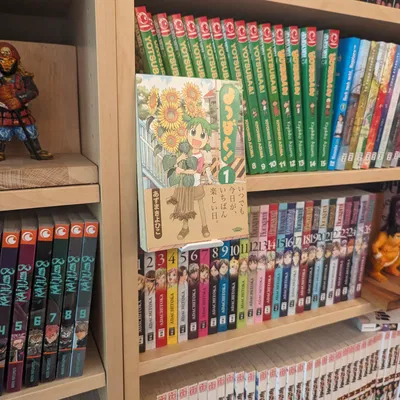 Giá Đỡ Trưng Bày Manga Cho Kệ Sách IKEA Billy