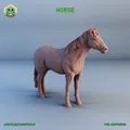 Mô hình ngựa 3D (Horse) - Thumbnail 1
