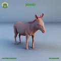 Mô hình chú lừa (Donkey) - Thumbnail 1
