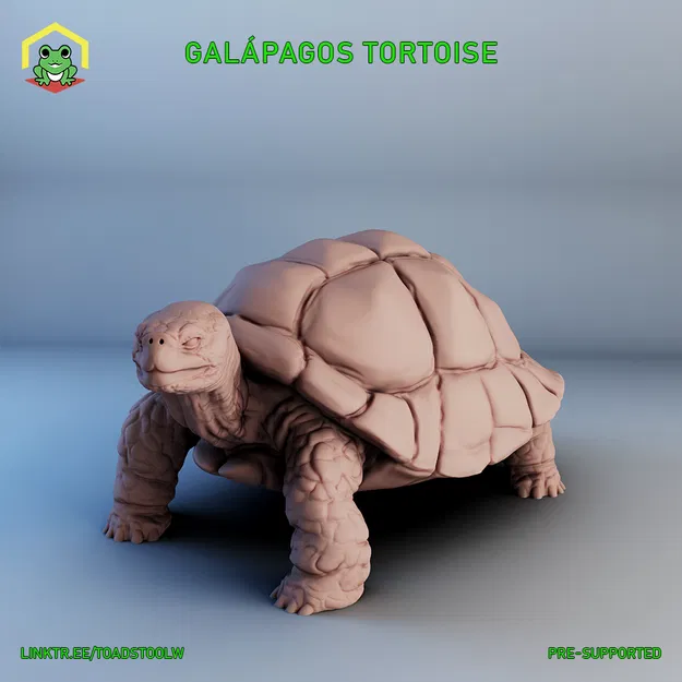 Mô hình rùa khổng lồ Galapagos - Image 1