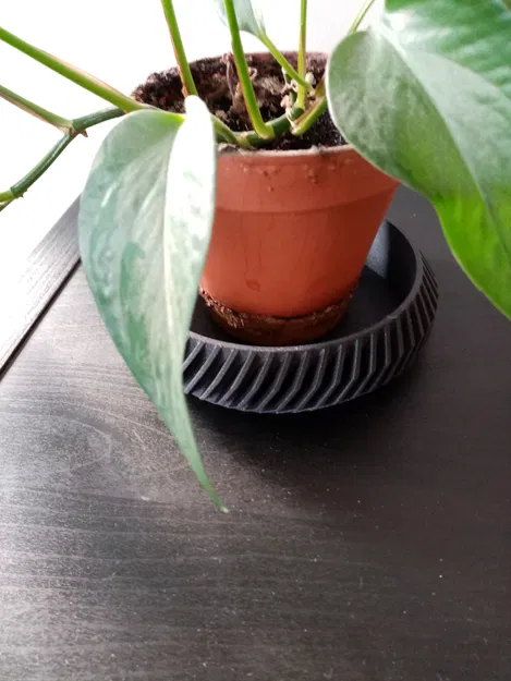 Khay Đựng Chậu Hoa và Bát Trang Trí In 3D Dễ Dàng Không Cần Support - Image 3