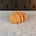 Chú Nhím Đáng Yêu Khớp Nối (Articulated Cute Hedgehog) - Thumbnail 14
