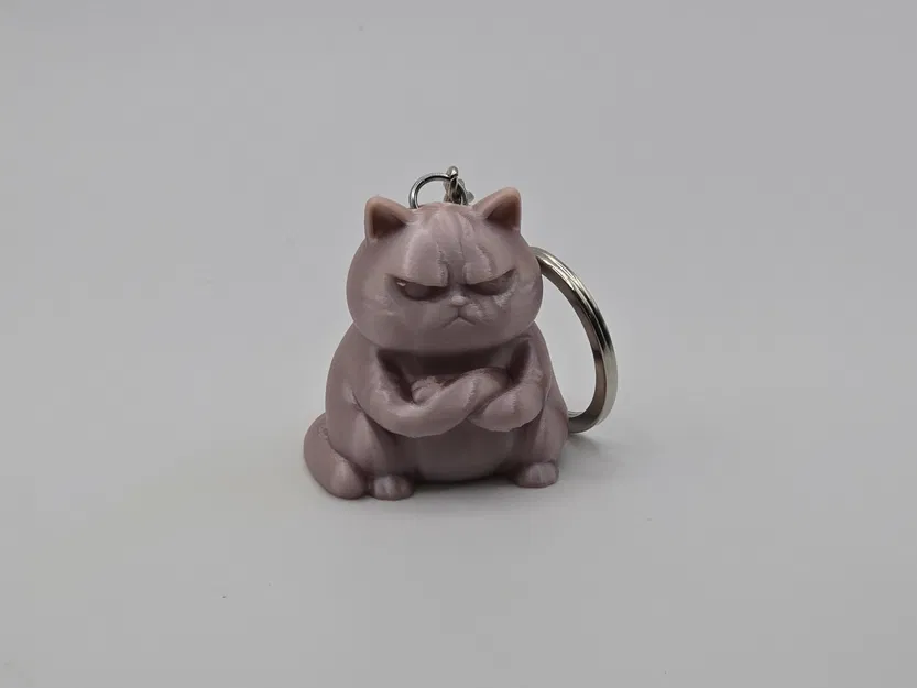 Móc khóa mèo Grumpy Zen Cat 3D - Thiết kế độc đáo cho dân mê mèo - Image 1