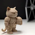 Mô hình Grumpy Cat Mandalorian - Thumbnail 3