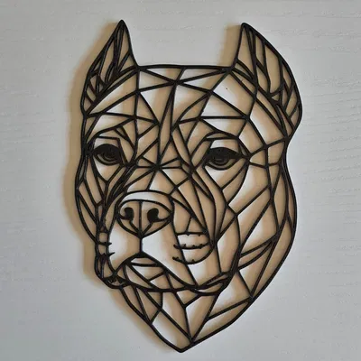 Mẫu tranh treo tường Pitbull phong cách Geometric 3D ấn tượng
