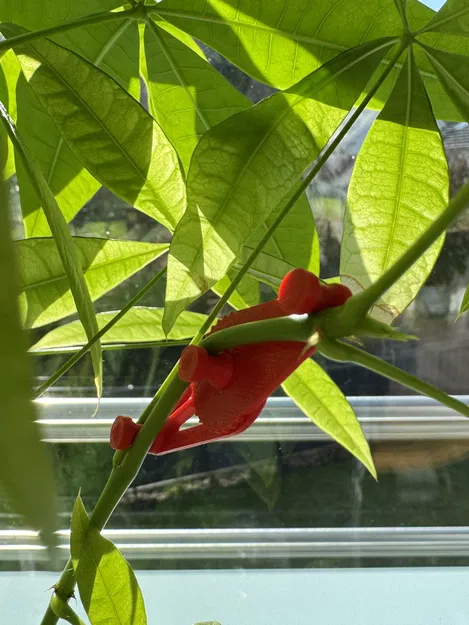 Bộ kẹp LST uốn cành cây (3 kích thước) hỗ trợ làm vườn - Image 1