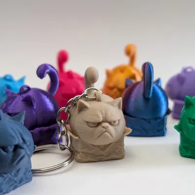 Móc khóa Grumpy Cat "trong" hộp