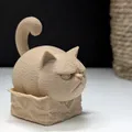 Grumpy Cat trong chiếc hộp nhỏ - Thumbnail 1
