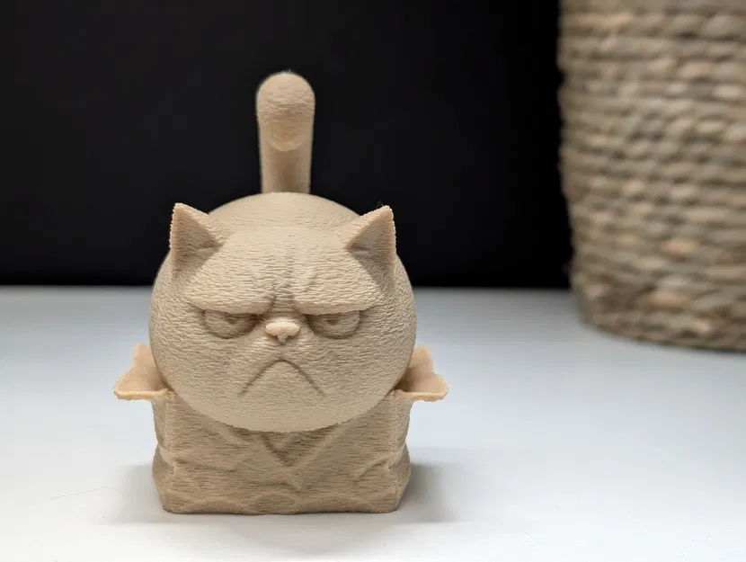 Grumpy Cat trong chiếc hộp nhỏ - Image 2