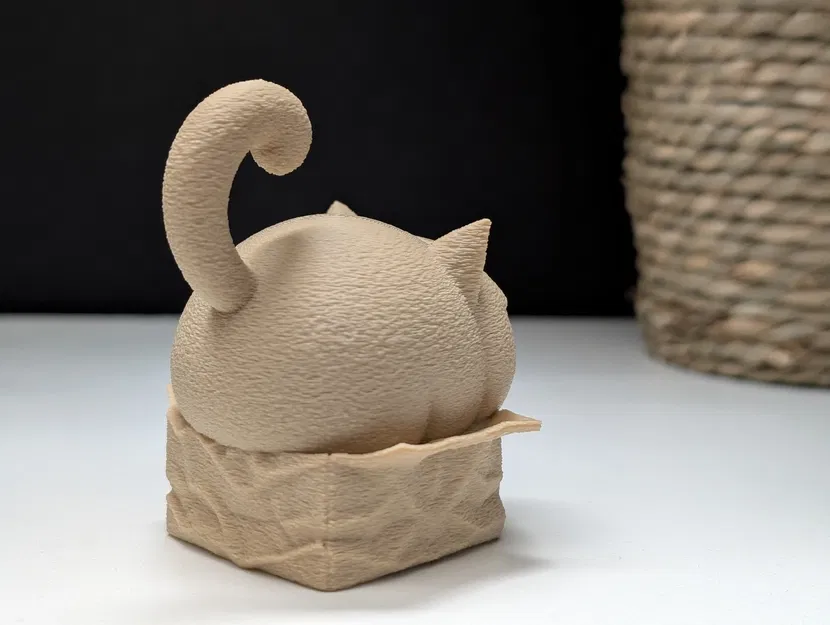 Grumpy Cat trong chiếc hộp nhỏ - Image 5