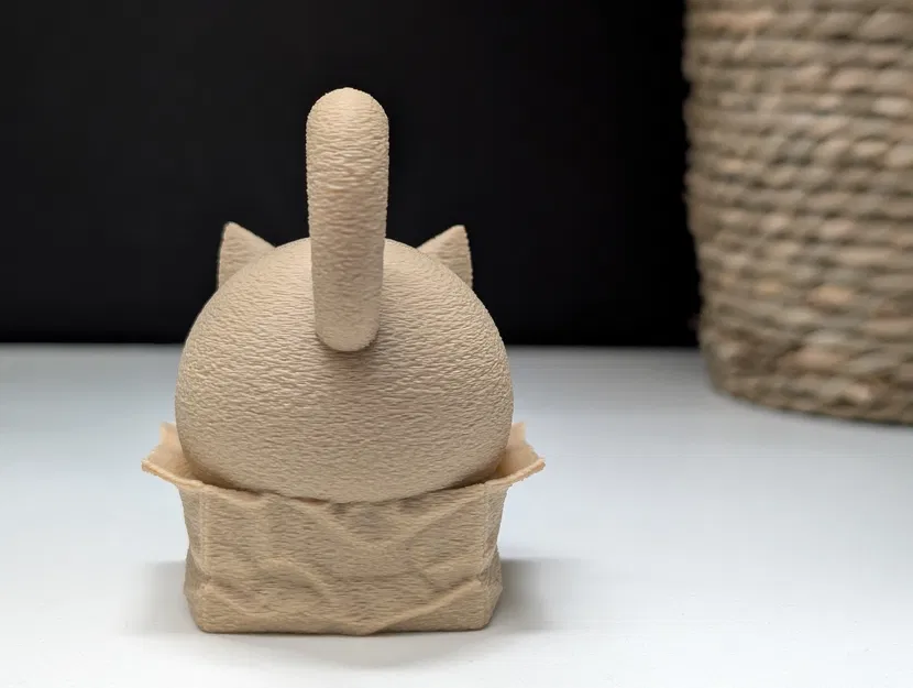 Grumpy Cat trong chiếc hộp nhỏ - Image 6