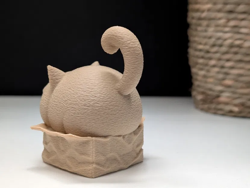 Grumpy Cat trong chiếc hộp nhỏ - Image 7