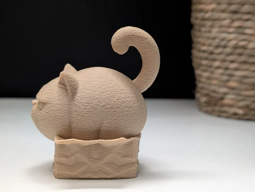 Grumpy Cat trong chiếc hộp nhỏ - Image 8