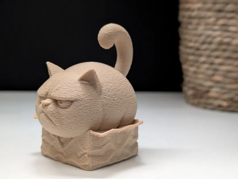 Grumpy Cat trong chiếc hộp nhỏ - Image 9