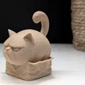Grumpy Cat trong chiếc hộp nhỏ - Thumbnail 9