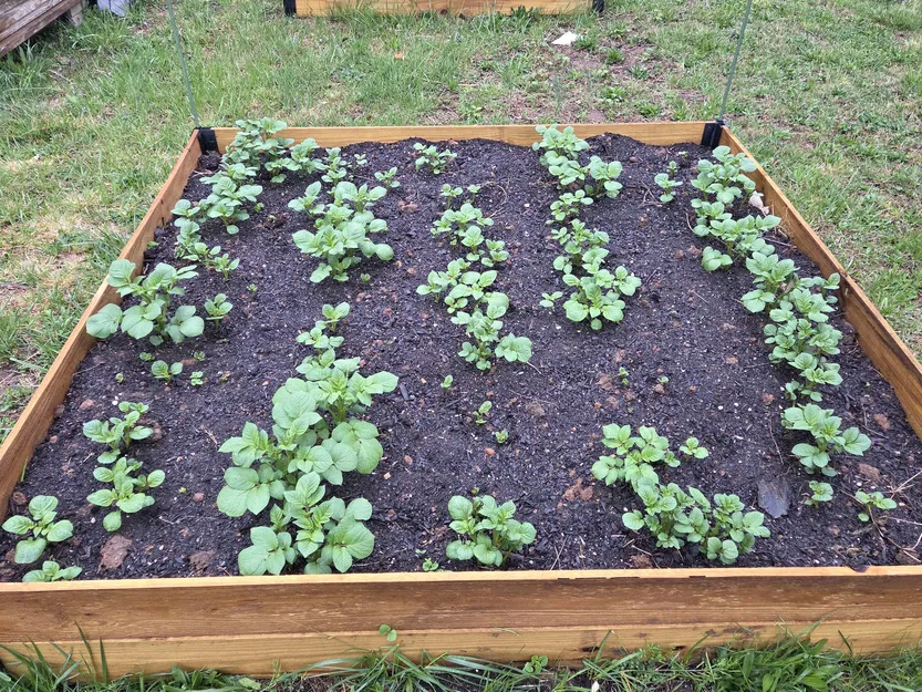 Hệ thống khớp nối làm luống trồng cây giá rẻ - Image 3