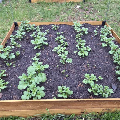 Hệ thống khớp nối làm luống trồng cây giá rẻ