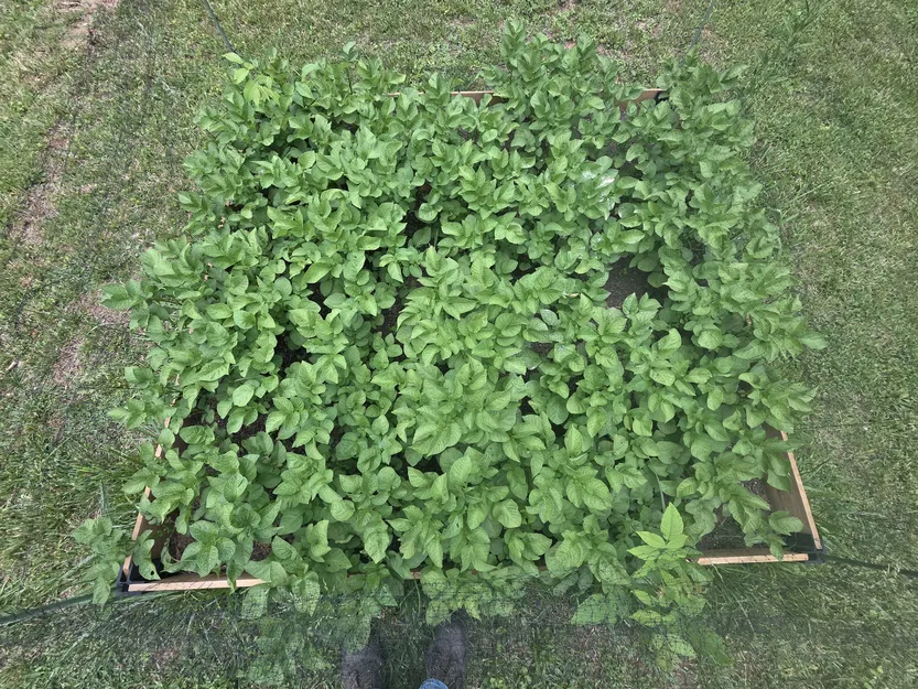 Hệ thống khớp nối làm luống trồng cây giá rẻ - Image 4