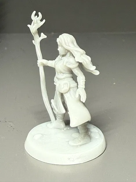 Mô hình nữ Druid cho Dungeons and Dragons DND - Image 2