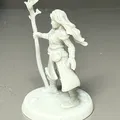 Mô hình nữ Druid cho Dungeons and Dragons DND - Thumbnail 2