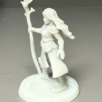 Mô hình nữ Druid cho Dungeons and Dragons DND