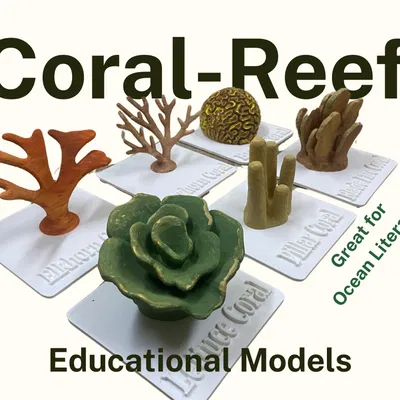 Bộ Mô Hình Rạn San Hô Dùng Trong Giáo Dục (Coral Reef Literacy Classroom Set)