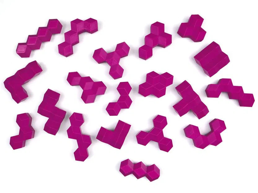 Bộ xếp hình Polyrhon Puzzles - Image 9